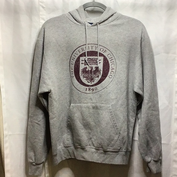 Champion University of Chicago Hoodie - Picture 2 of 11